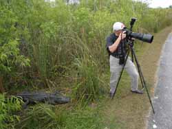 Tom and Gator