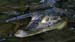caiman