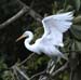 greategret