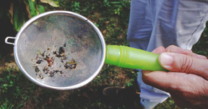 Loaded sieve